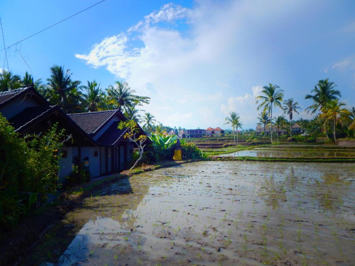 Amaya By Shm Villa Ubud (Bali)